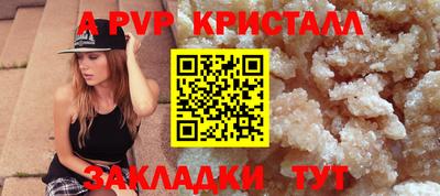 спиды Сланцы
