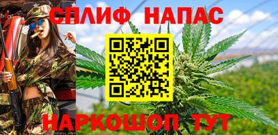 спиды Ставрополь