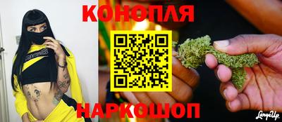 эйфоретик Славгород